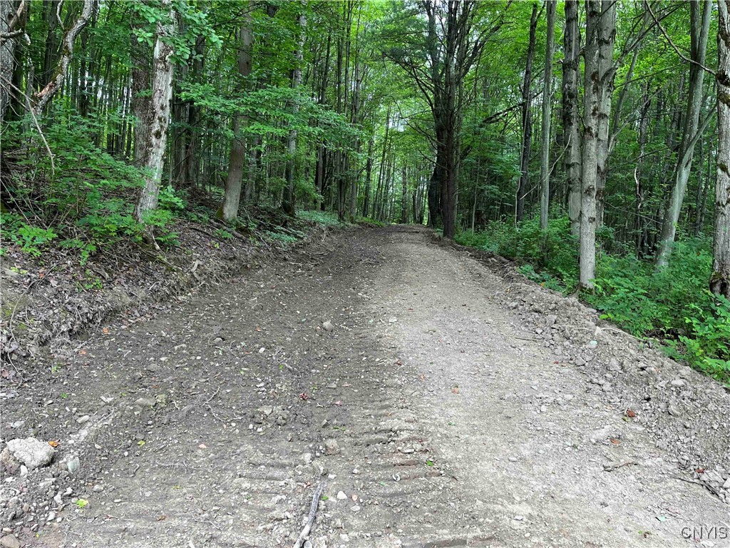 00 Co Road 20, Cuba, New York image 15
