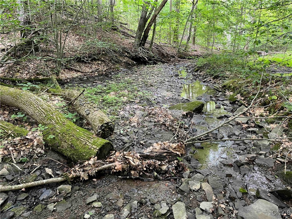 00 Co Road 20, Cuba, New York image 24