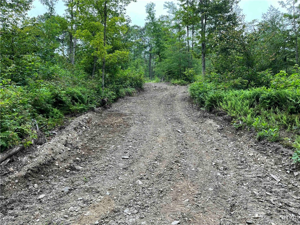 00 Co Road 20, Cuba, New York image 5