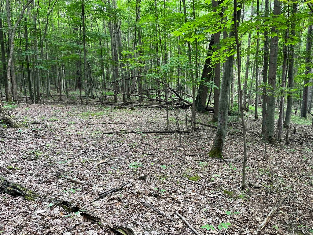 00 Co Road 20, Cuba, New York image 22