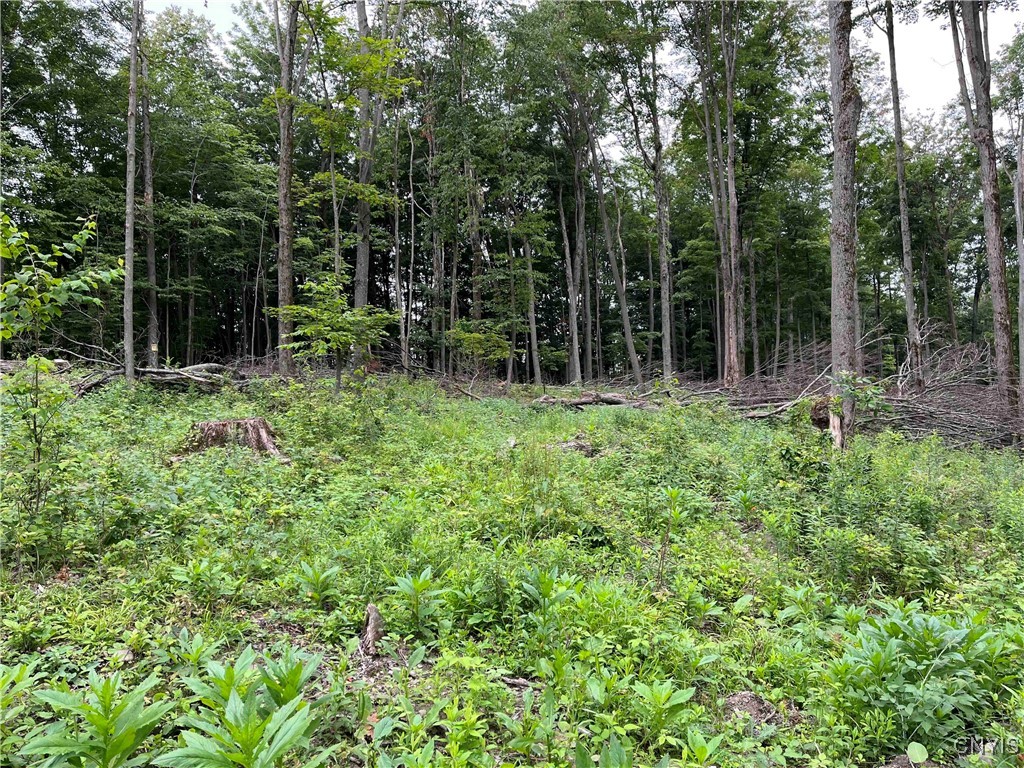 00 Co Road 20, Cuba, New York image 16