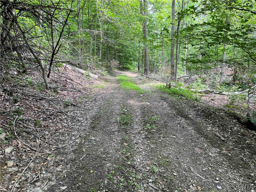 00 Co Road 20, Cuba, New York image 27