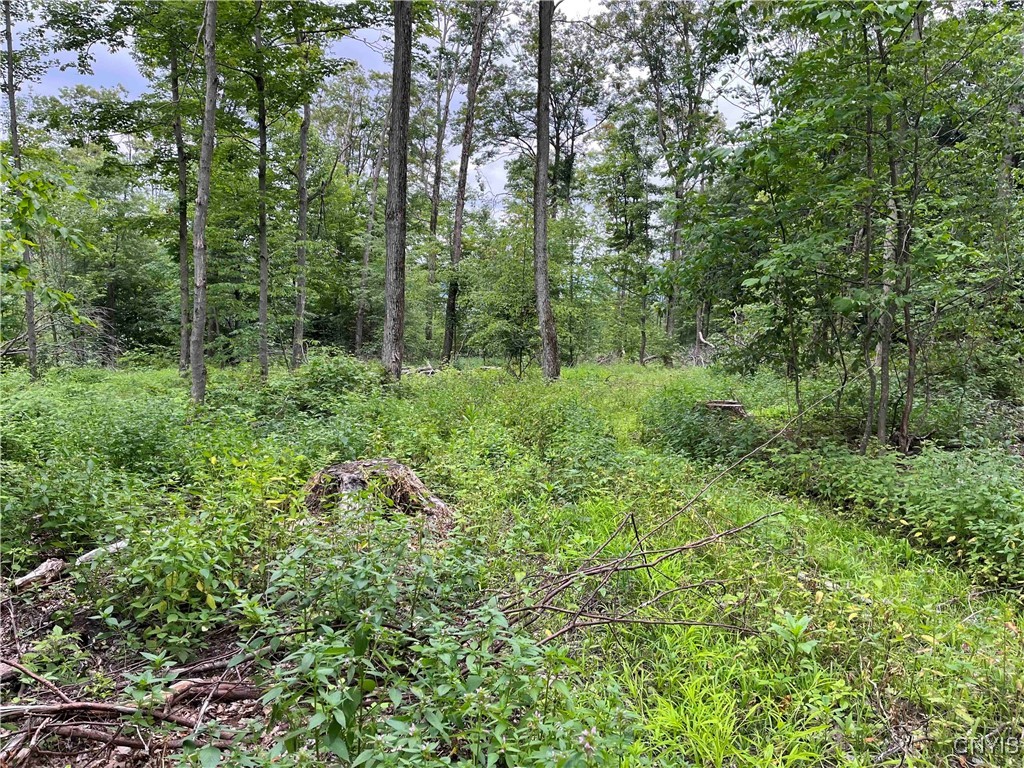 00 Co Road 20, Cuba, New York image 13