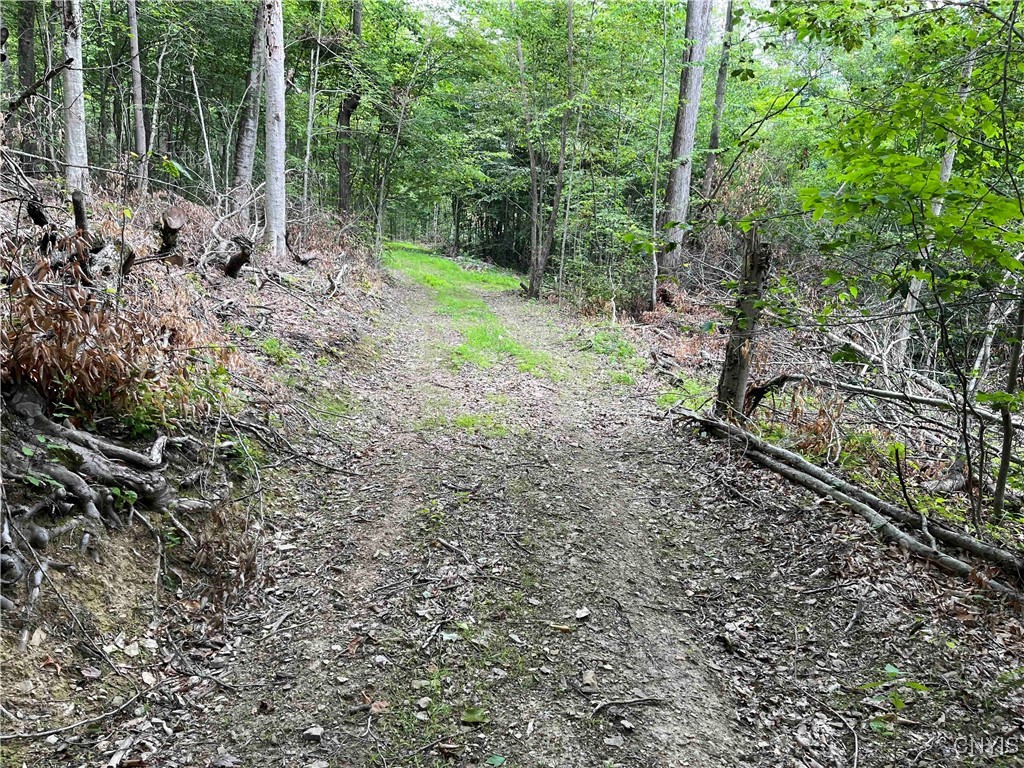 00 Co Road 20, Cuba, New York image 26