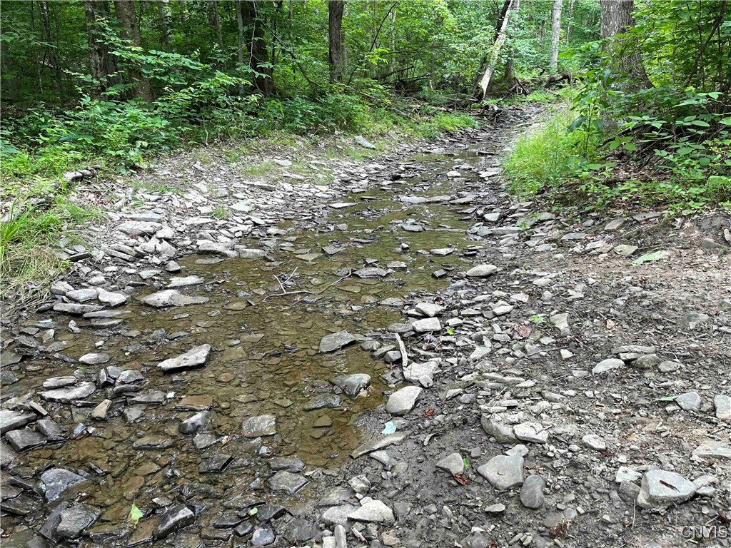 00 Co Road 20, Cuba, New York image 28