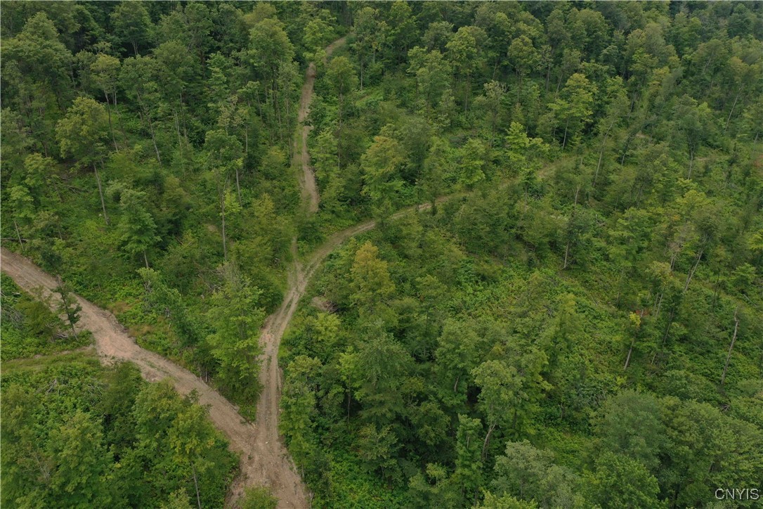 00 Co Road 20, Cuba, New York image 37