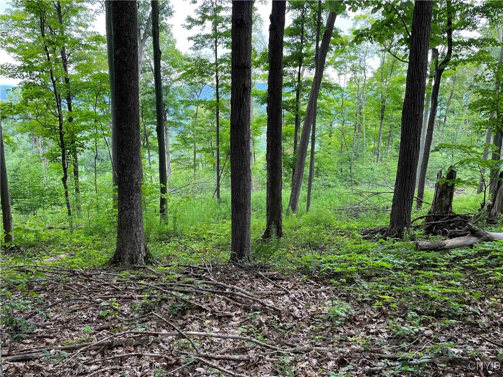 00 Co Road 20, Cuba, New York image 18