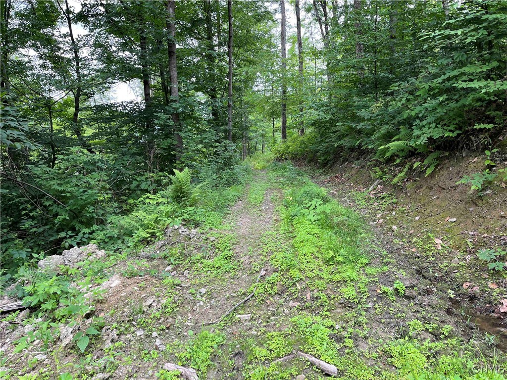 00 Co Road 20, Cuba, New York image 10