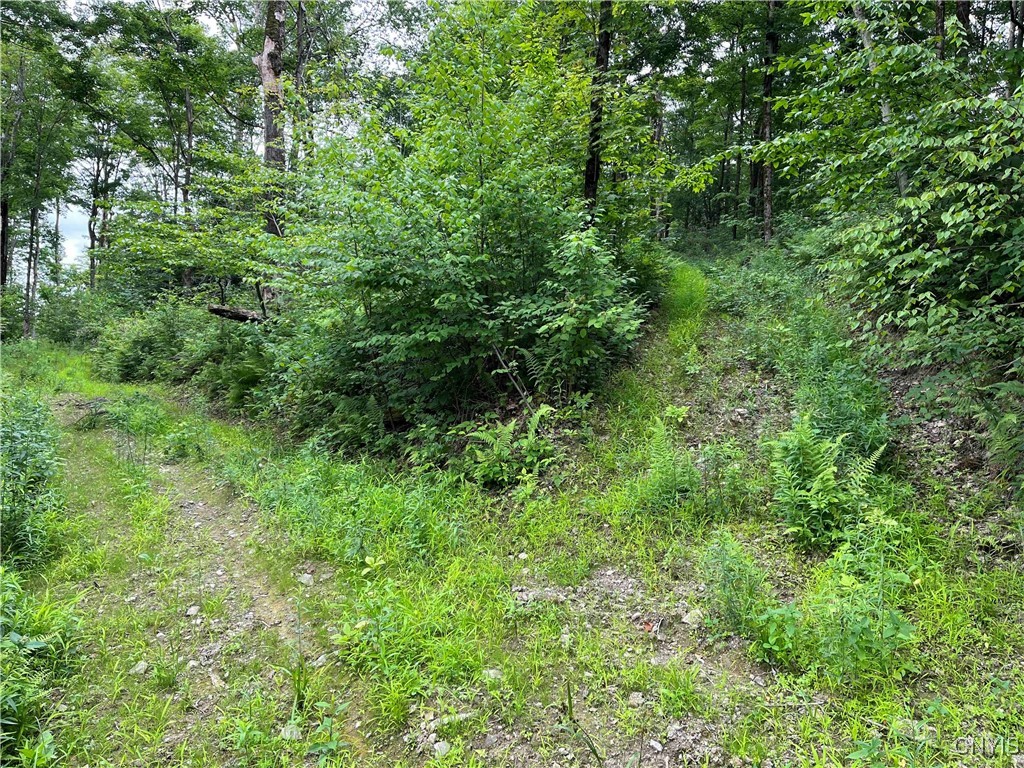 00 Co Road 20, Cuba, New York image 11