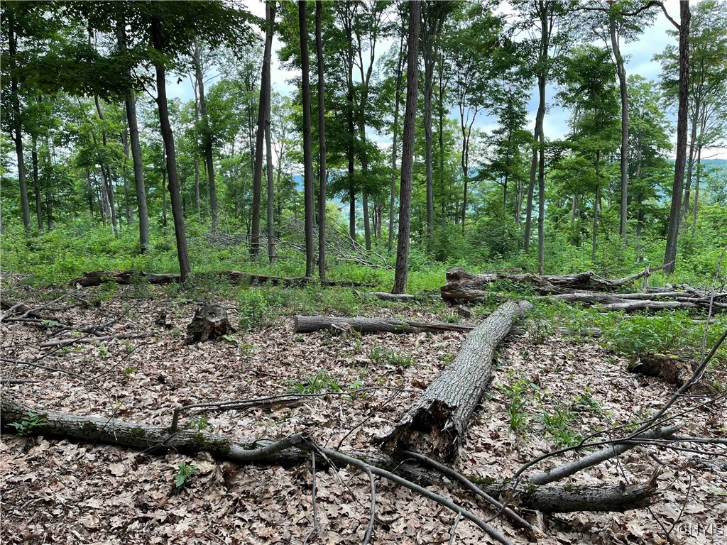 00 Co Road 20, Cuba, New York image 17