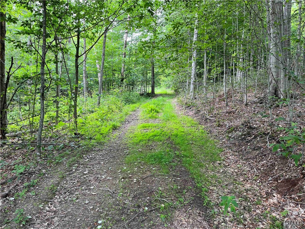 00 Co Road 20, Cuba, New York image 25