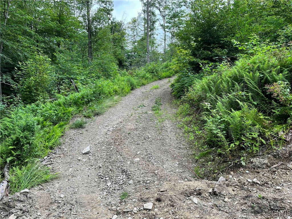 00 Co Road 20, Cuba, New York image 9