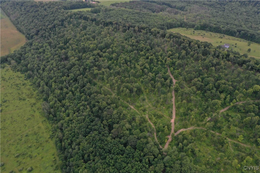 00 Co Road 20, Cuba, New York image 35