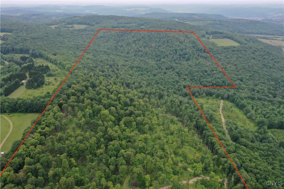 00 Co Road 20, Cuba, New York image 2
