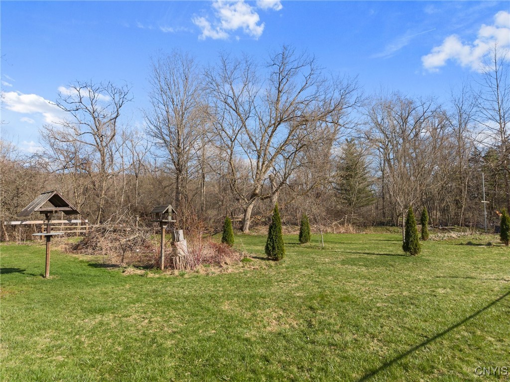 2674 Oran Delphi Road, Pompey, New York image 36
