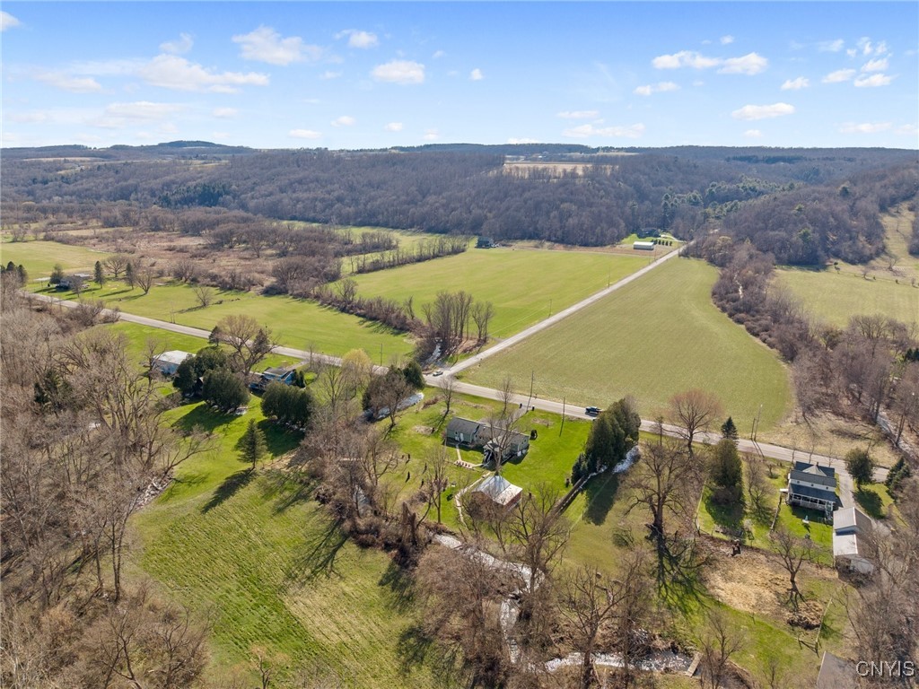 2674 Oran Delphi Road, Pompey, New York image 40