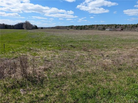 Vacant Land For Sale - Bald Rock Road<br/> Clayton, NY 13624
