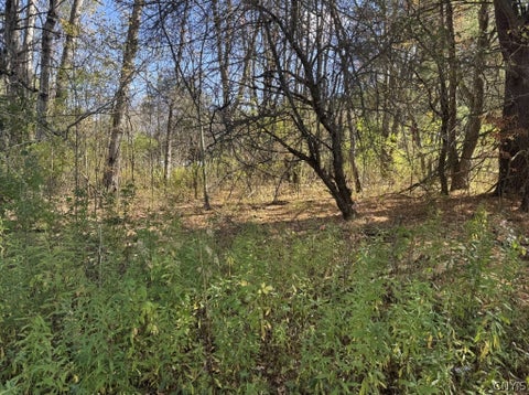 Vacant Land For Sale - 4755 Fay Hollow Road<br/> Humphrey, NY 14741