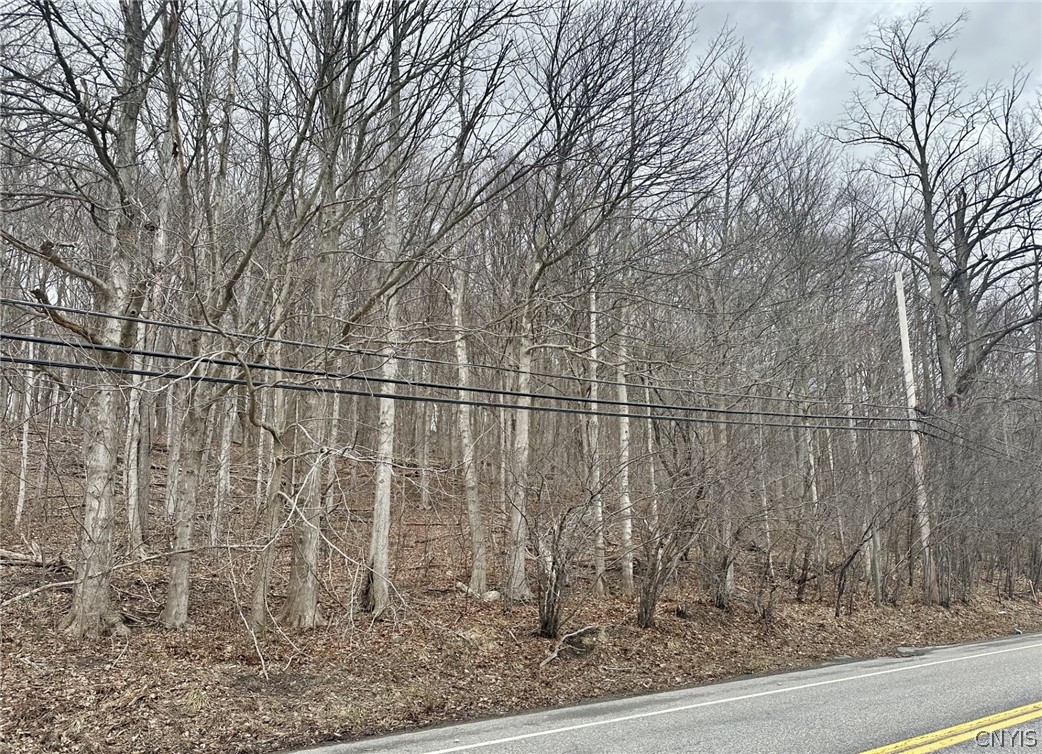 00 Warners Rd Lots 1-3