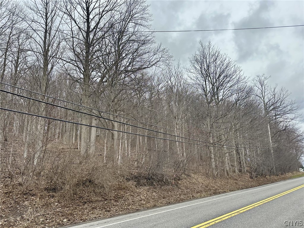 00 Warners Rd Lots 1-3