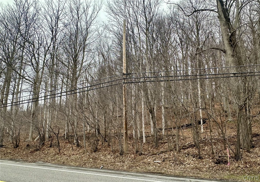 00 Warners Rd Lots 1-3