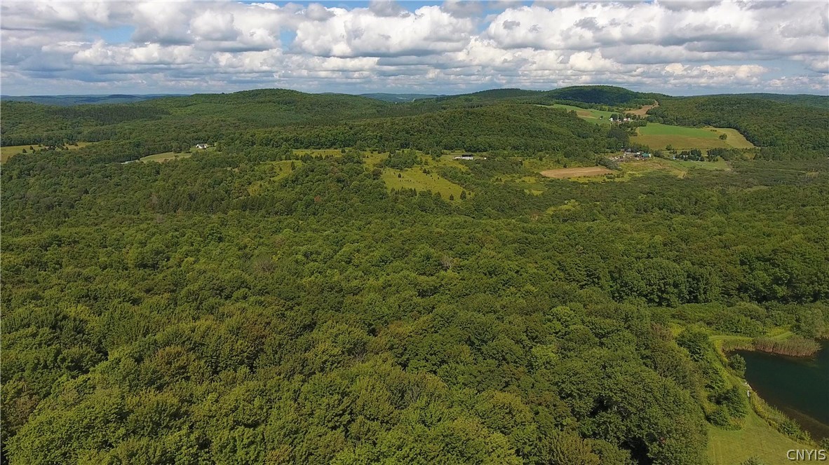 Hartwick, New York 13348, United States, ,Commercial,Active,75594