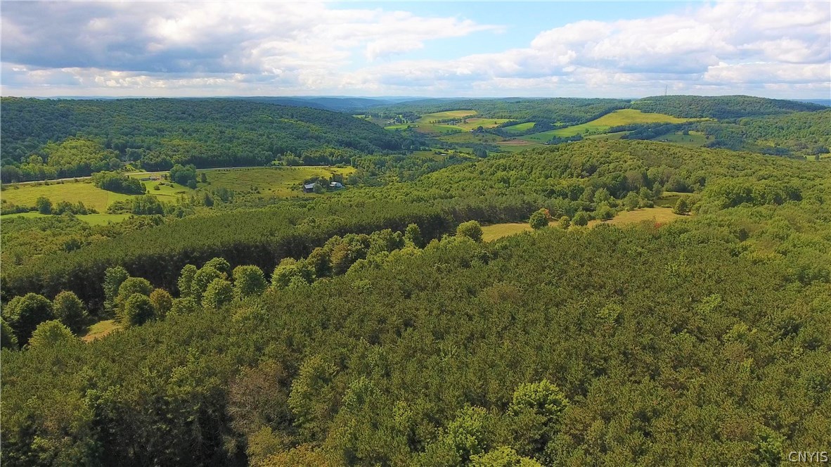 Hartwick, New York 13348, United States, ,Commercial,Active,75594