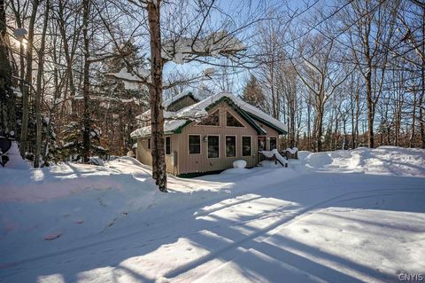 Photo of 143 Pawnee Drive W, Webb, NY 13420 (MLS # S1650986)