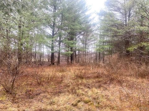 Vacant Land For Sale - 10138 Schuknecht Road<br/> Allegany County, Hume, NY 14735