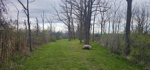 Vacant Land For Sale - 7500 County Road 131<br/> Ovid, NY 14521