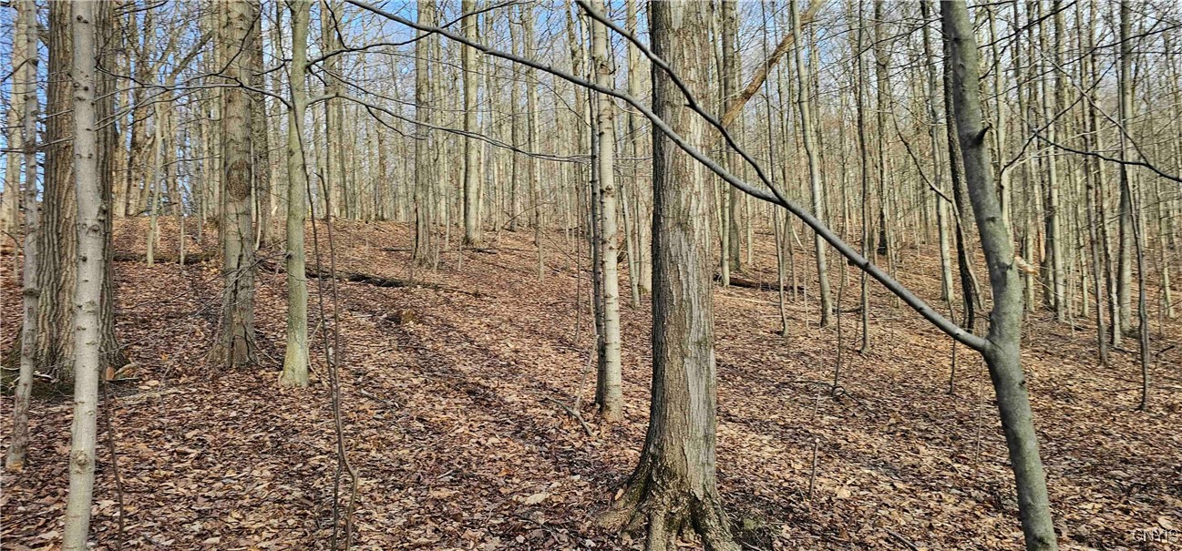 Barden Hill Road, Richford, New York image 7