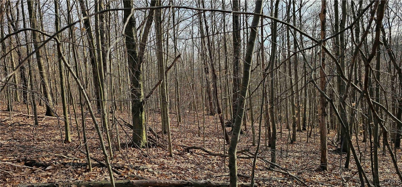 Barden Hill Road, Richford, New York image 17