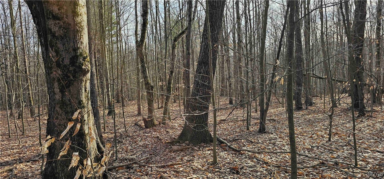 Barden Hill Road, Richford, New York image 9
