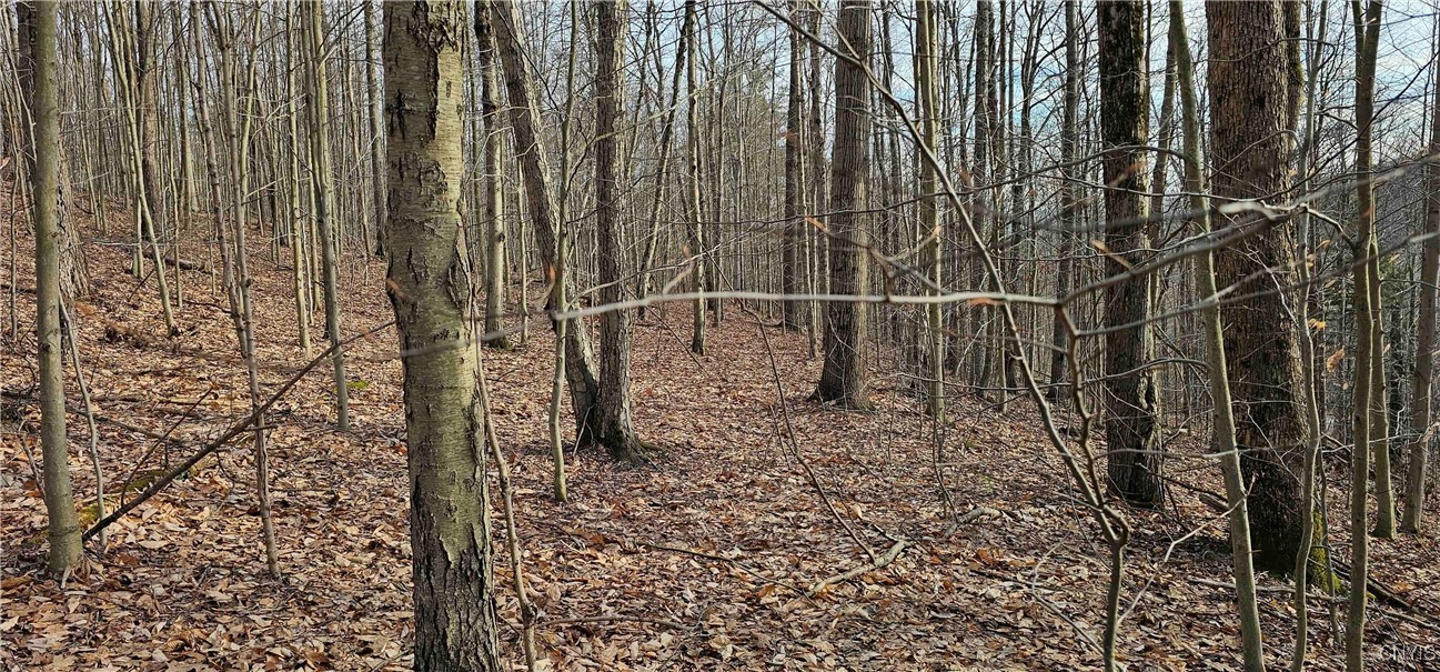 Barden Hill Road, Richford, New York image 34