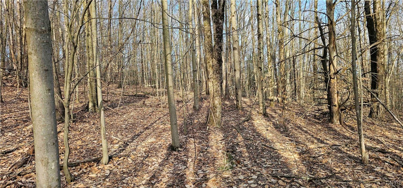 Barden Hill Road, Richford, New York image 11
