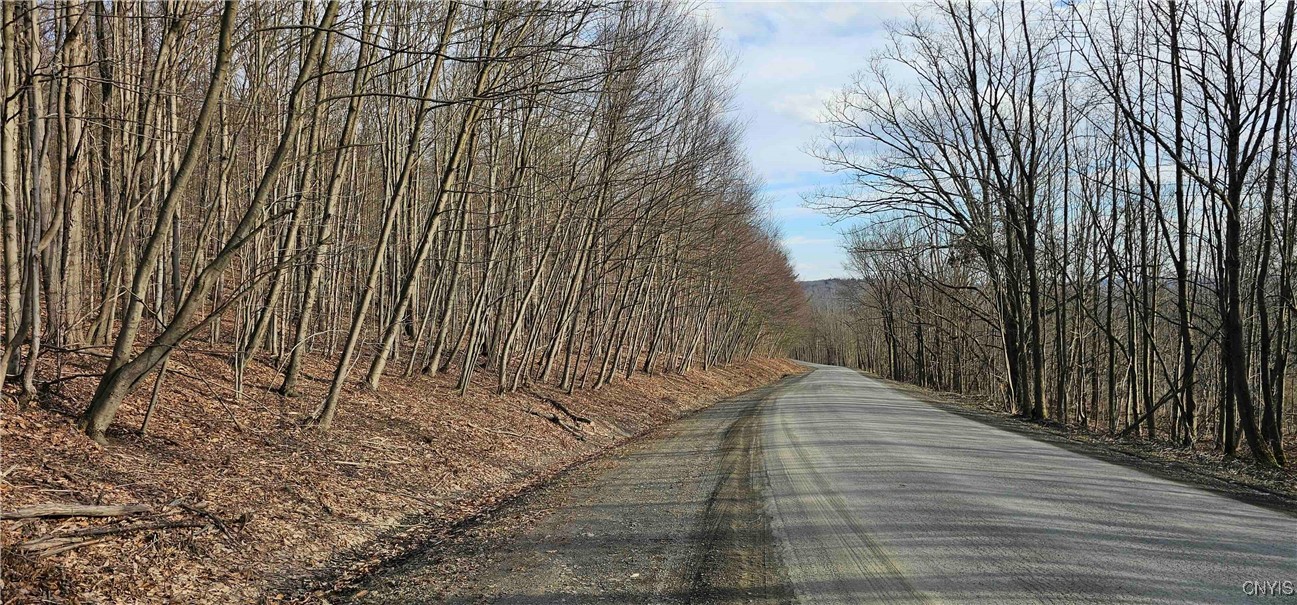 Barden Hill Road, Richford, New York image 1