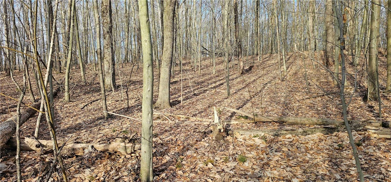 Barden Hill Road, Richford, New York image 18