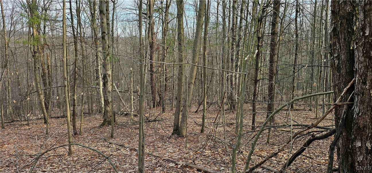 Barden Hill Road, Richford, New York image 23