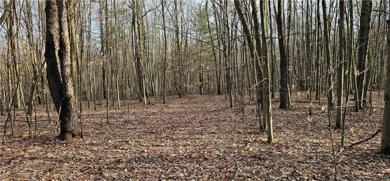 Barden Hill Road, Richford, New York image 13