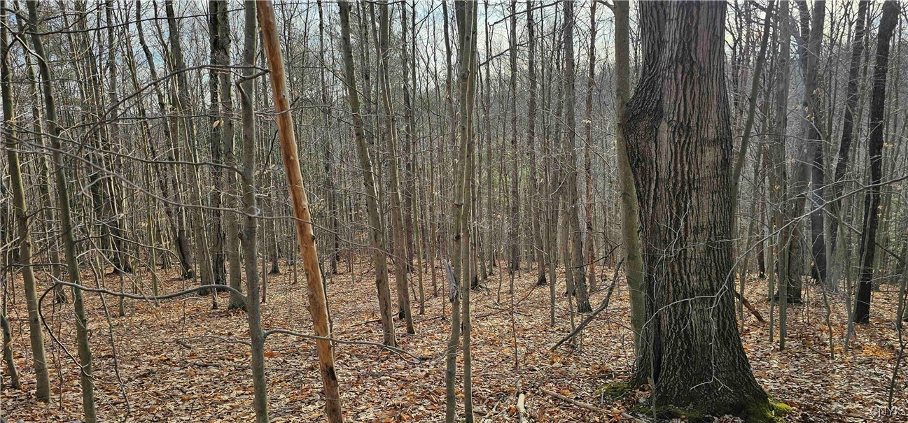 Barden Hill Road, Richford, New York image 32