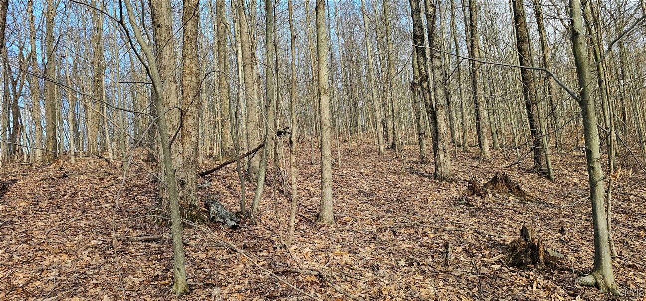 Barden Hill Road, Richford, New York image 24