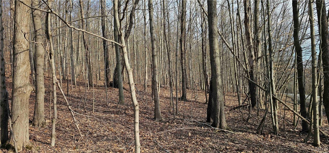 Barden Hill Road, Richford, New York image 5
