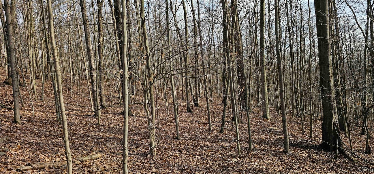 Barden Hill Road, Richford, New York image 25