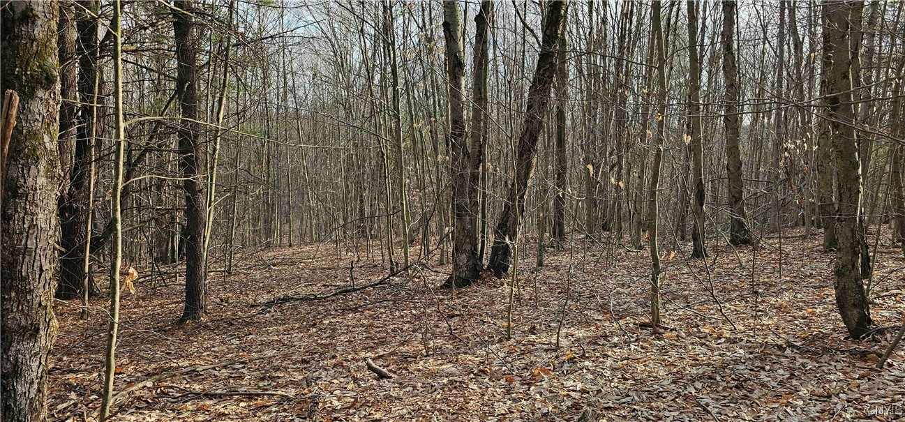 Barden Hill Road, Richford, New York image 28