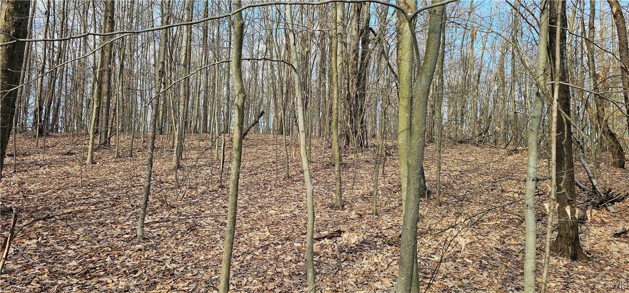 Barden Hill Road, Richford, New York image 20