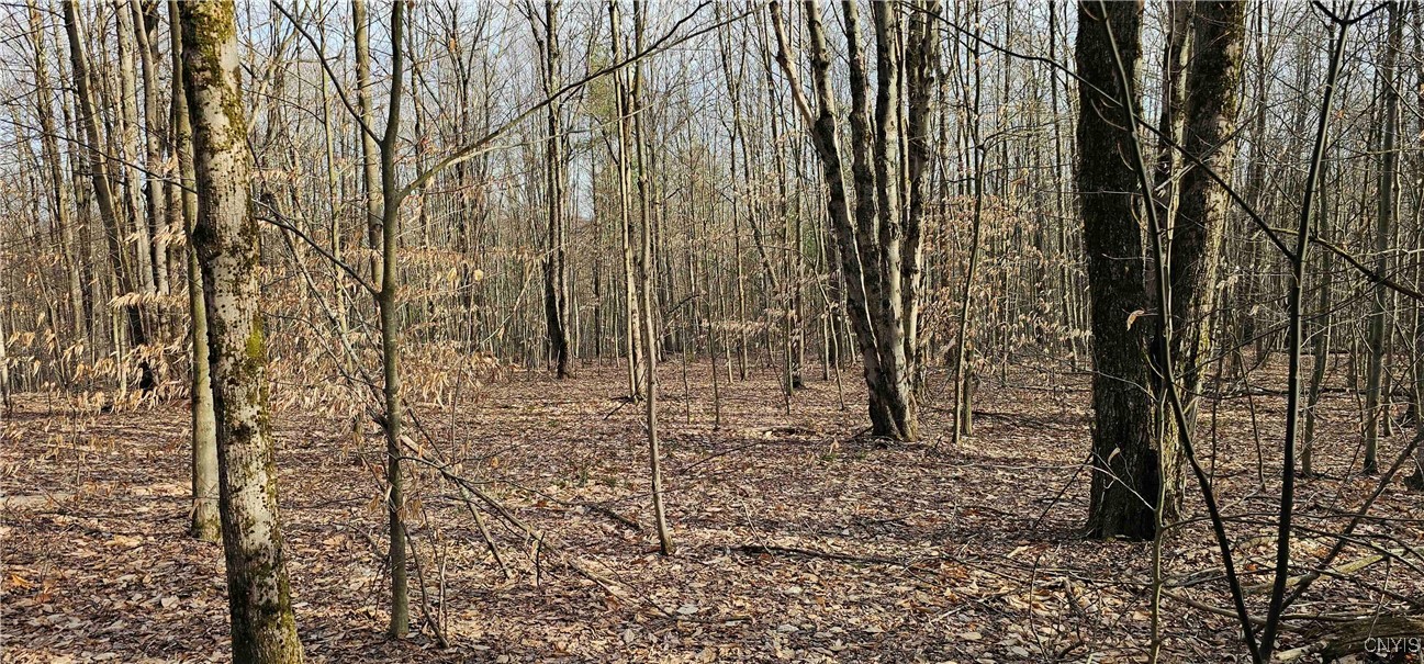 Barden Hill Road, Richford, New York image 12