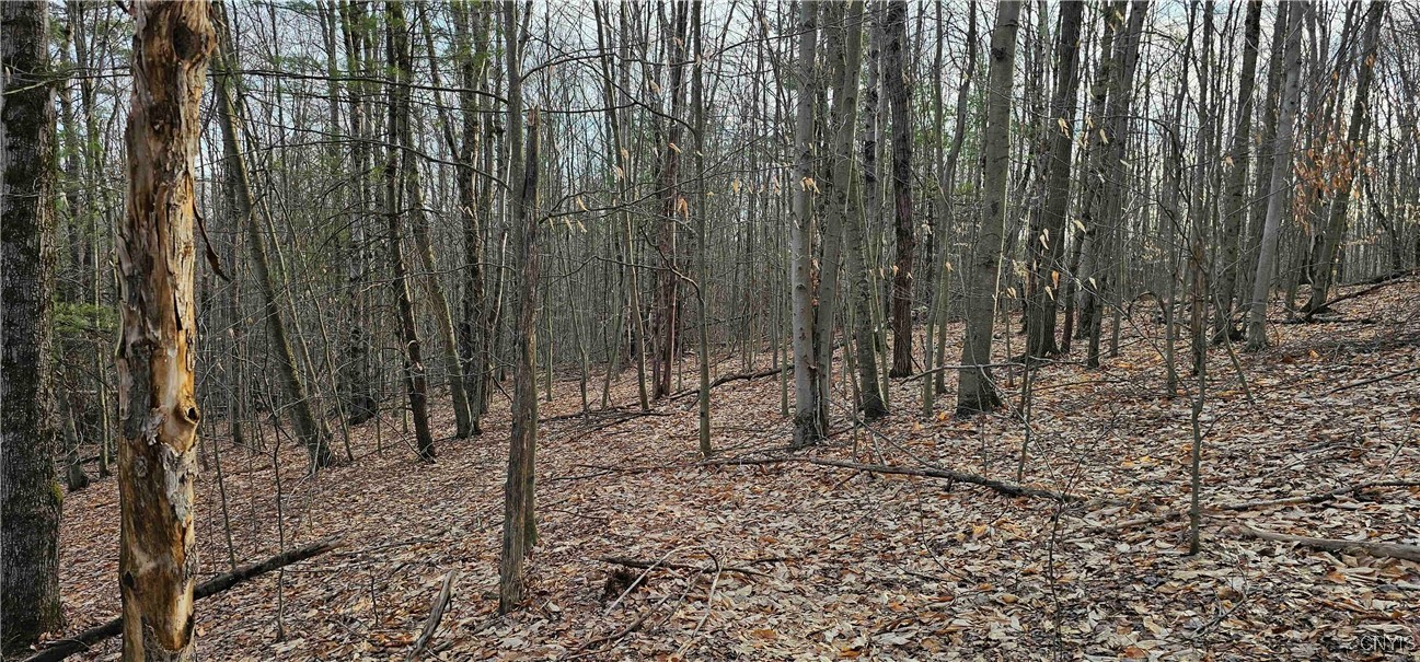 Barden Hill Road, Richford, New York image 22