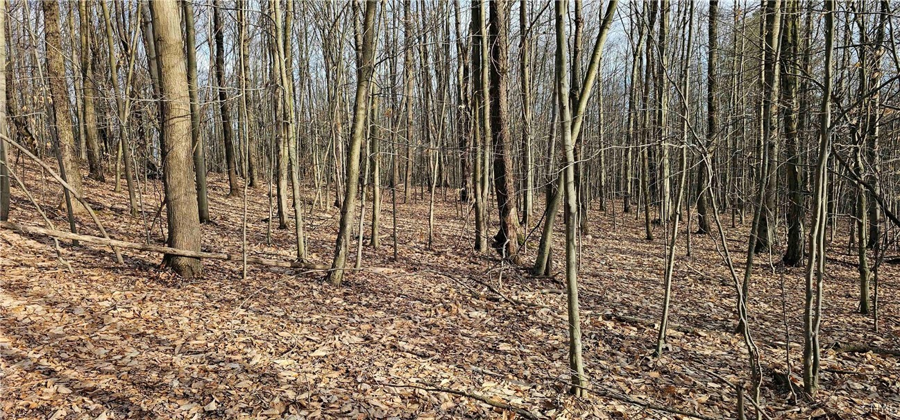 Barden Hill Road, Richford, New York image 19