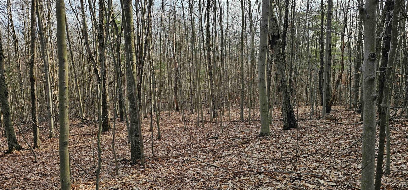 Barden Hill Road, Richford, New York image 30
