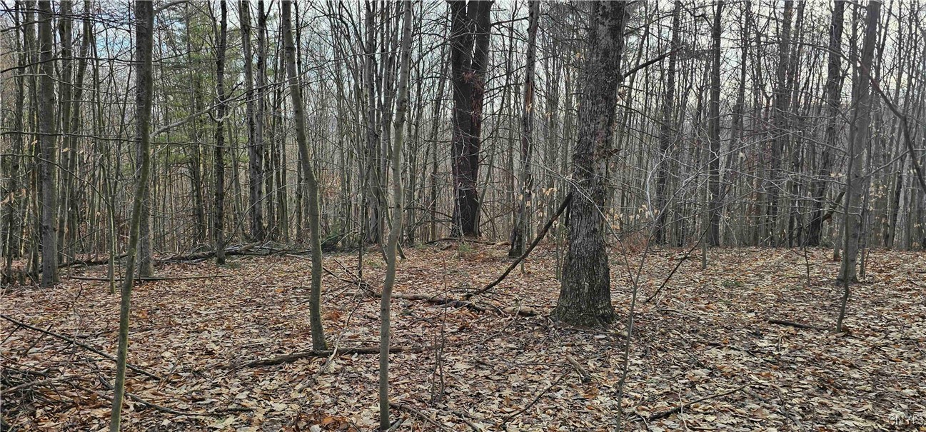Barden Hill Road, Richford, New York image 31